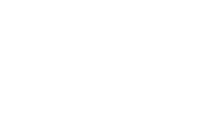 The Revenue House